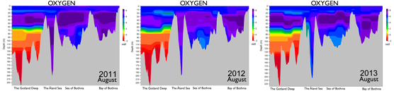 Oxygen levels from Gotland to the Bothnian Bay in 2011–2013